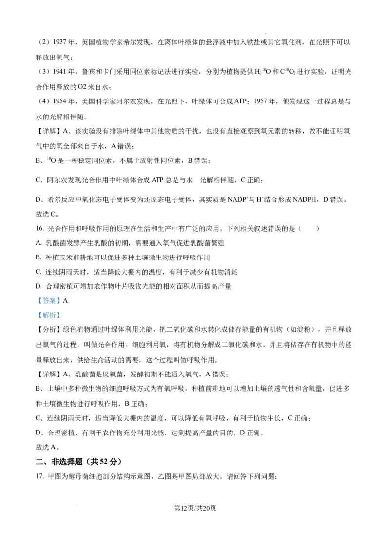 2025届银川一中高三第二次月考生物试卷答案_A1502026各地模拟卷（超值！）_10月_241003宁夏回族自治区银川一中2024-2025学年高三上学期第二次月考