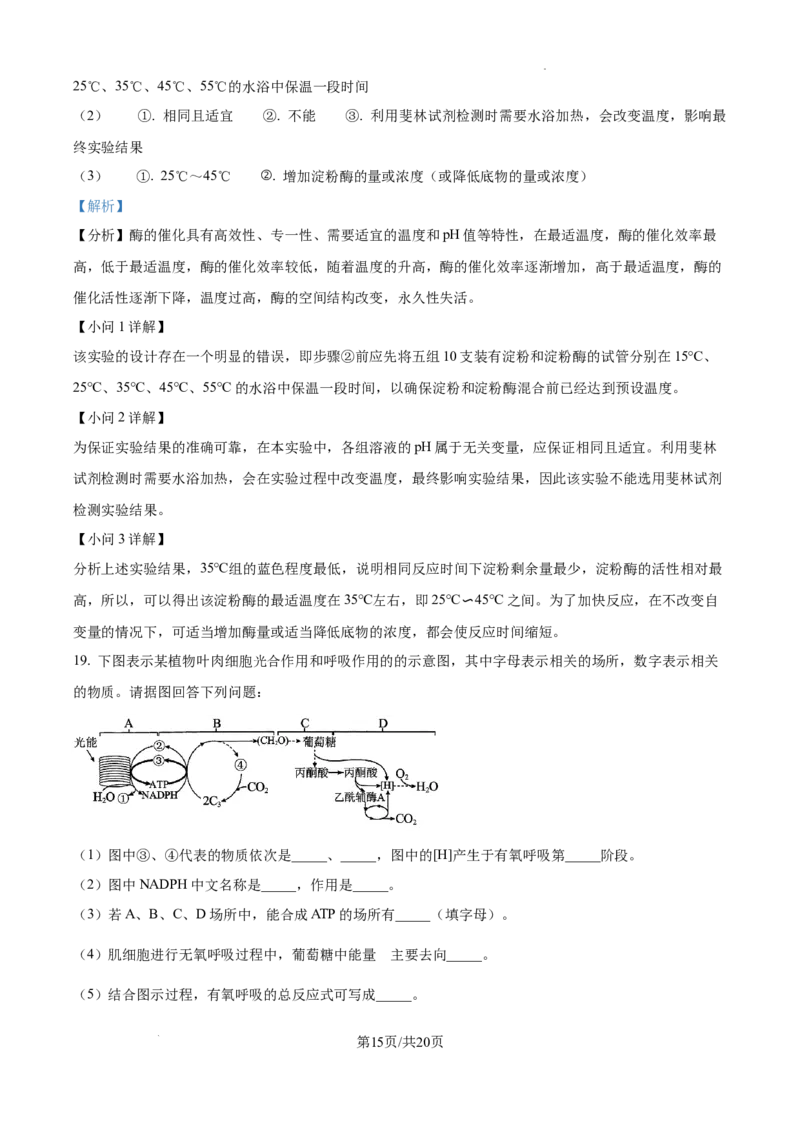 2025届银川一中高三第二次月考生物试卷答案_A1502026各地模拟卷（超值！）_10月_241003宁夏回族自治区银川一中2024-2025学年高三上学期第二次月考