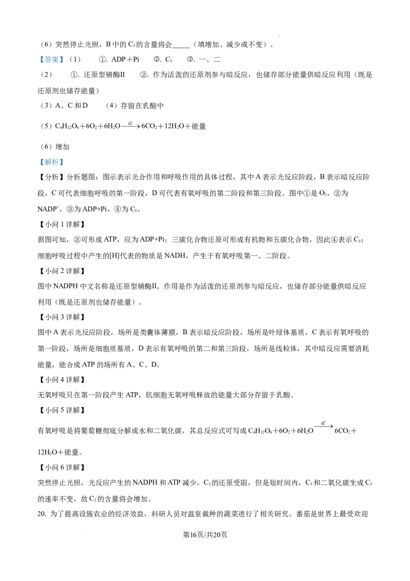 2025届银川一中高三第二次月考生物试卷答案_A1502026各地模拟卷（超值！）_10月_241003宁夏回族自治区银川一中2024-2025学年高三上学期第二次月考