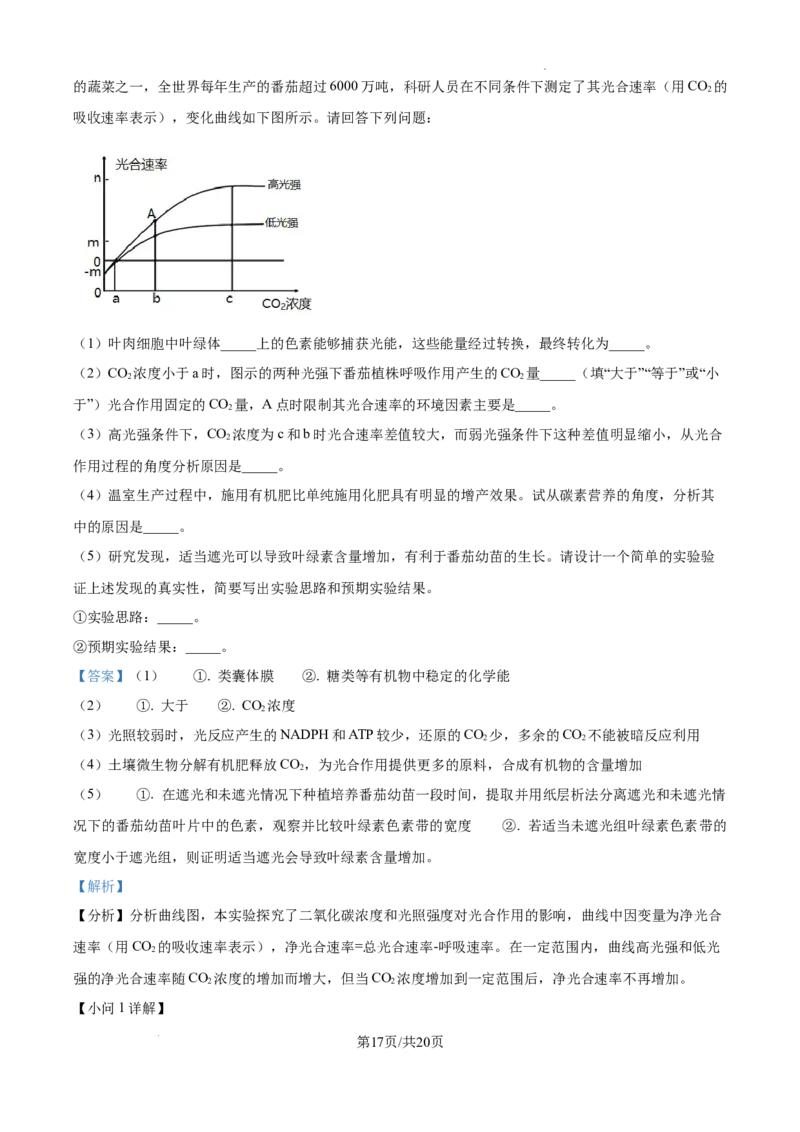 2025届银川一中高三第二次月考生物试卷答案_A1502026各地模拟卷（超值！）_10月_241003宁夏回族自治区银川一中2024-2025学年高三上学期第二次月考