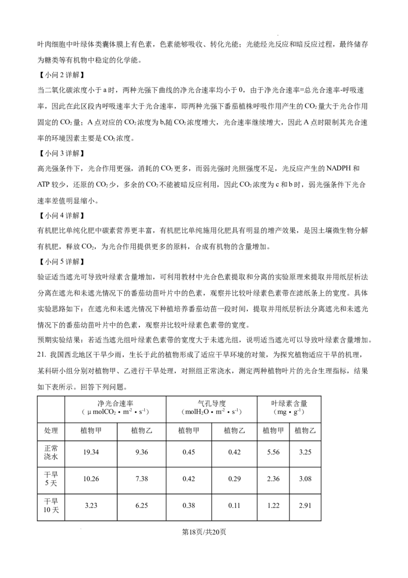 2025届银川一中高三第二次月考生物试卷答案_A1502026各地模拟卷（超值！）_10月_241003宁夏回族自治区银川一中2024-2025学年高三上学期第二次月考
