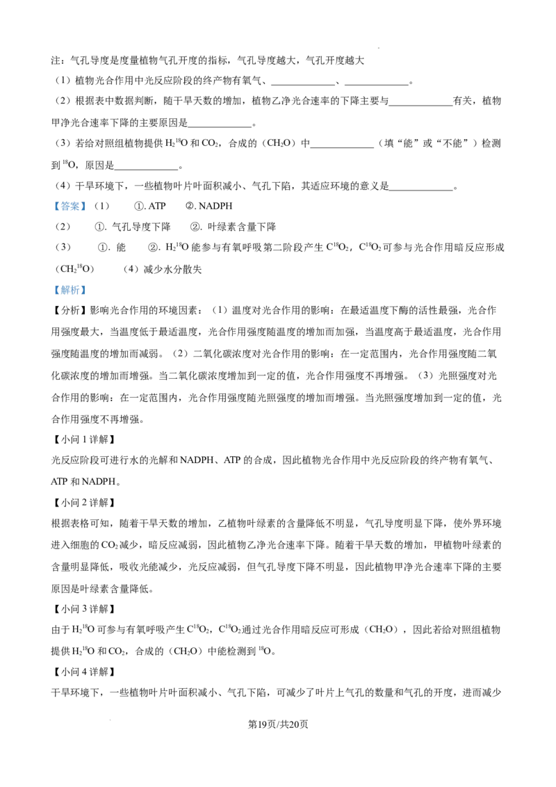 2025届银川一中高三第二次月考生物试卷答案_A1502026各地模拟卷（超值！）_10月_241003宁夏回族自治区银川一中2024-2025学年高三上学期第二次月考