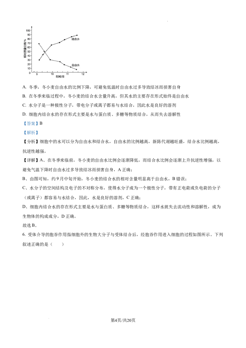 2025届银川一中高三第二次月考生物试卷答案_A1502026各地模拟卷（超值！）_10月_241003宁夏回族自治区银川一中2024-2025学年高三上学期第二次月考