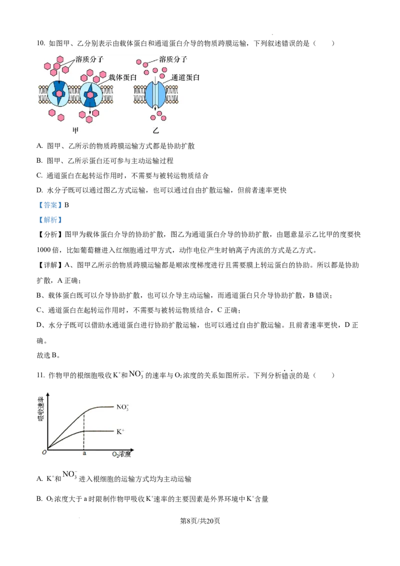 2025届银川一中高三第二次月考生物试卷答案_A1502026各地模拟卷（超值！）_10月_241003宁夏回族自治区银川一中2024-2025学年高三上学期第二次月考