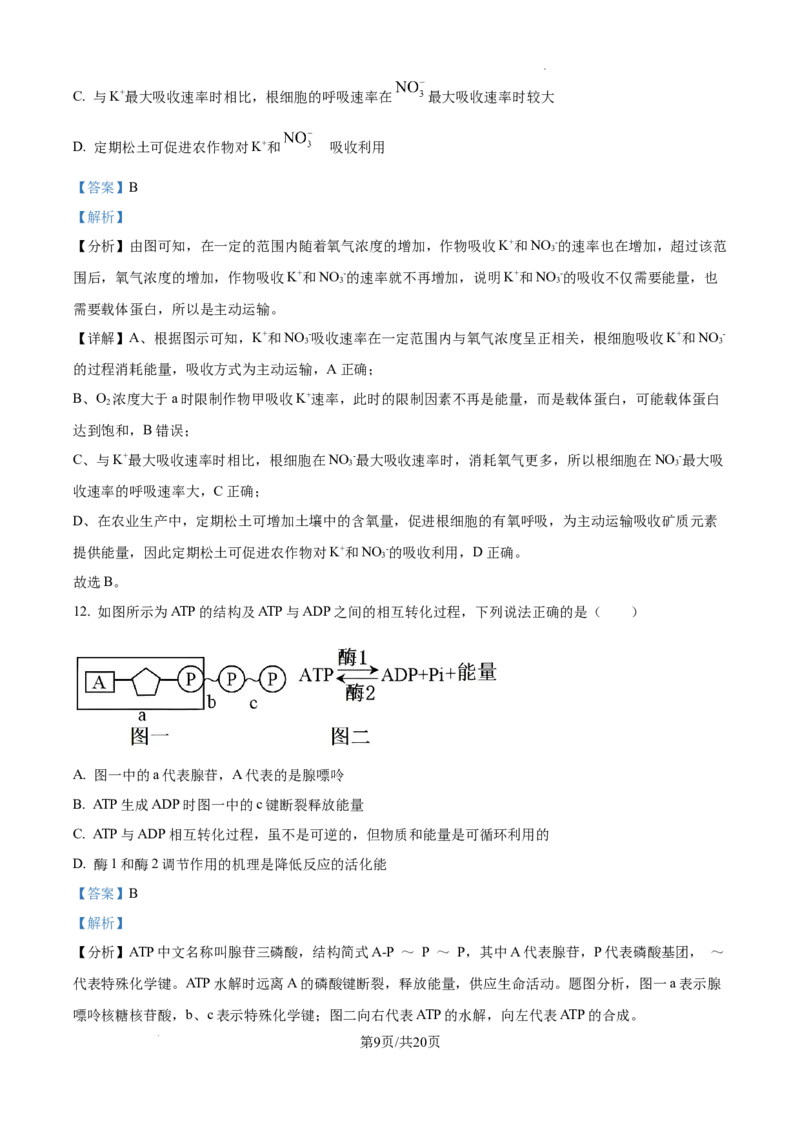 2025届银川一中高三第二次月考生物试卷答案_A1502026各地模拟卷（超值！）_10月_241003宁夏回族自治区银川一中2024-2025学年高三上学期第二次月考