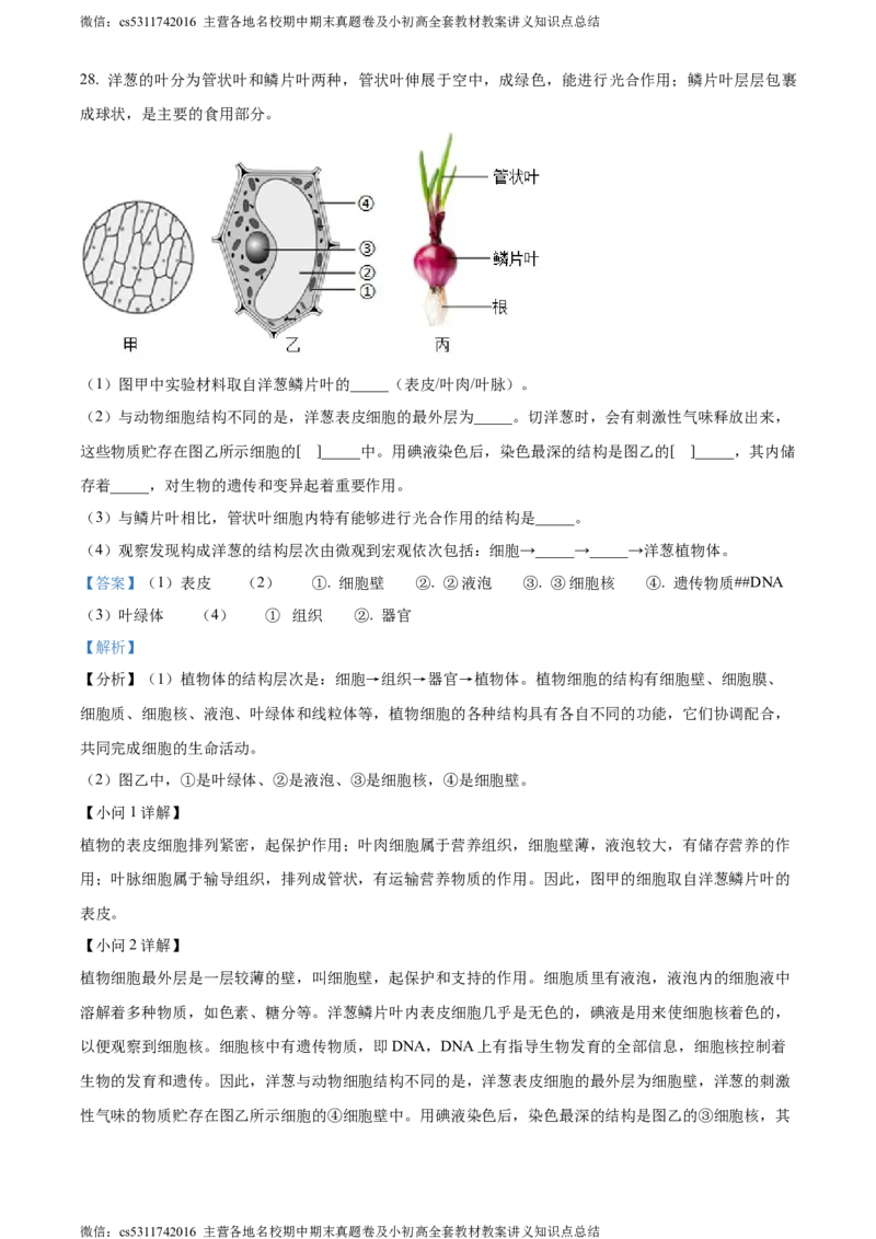 精品解析：北京市昌平区双城融合学区2023-2024学年七年级上学期期中生物试题（解析版）(1)_北京初中期末题_C605-京七八九_B京生物七八九_北京7上生物_2022-2024_北京生物7上期中