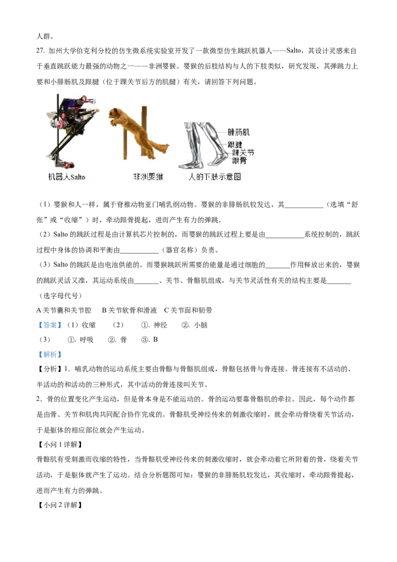 精品解析：北京市北京师范大学实验中学2022-2023学年八年级上学期期中生物试题（解析版）(1)_北京初中期末题_C605-京七八九_B京生物七八九_北京八上生物_2022-2023