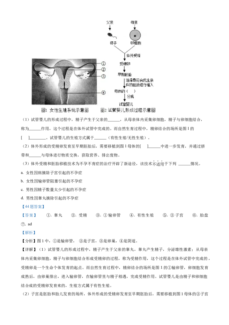 精品解析：北京市一零一中学2019-2020学年下学期初中七年级期末生物试卷（解析版）(1)_北京初中期末题_C605-京七八九_B京生物七八九_北京7下生物_2019-2020