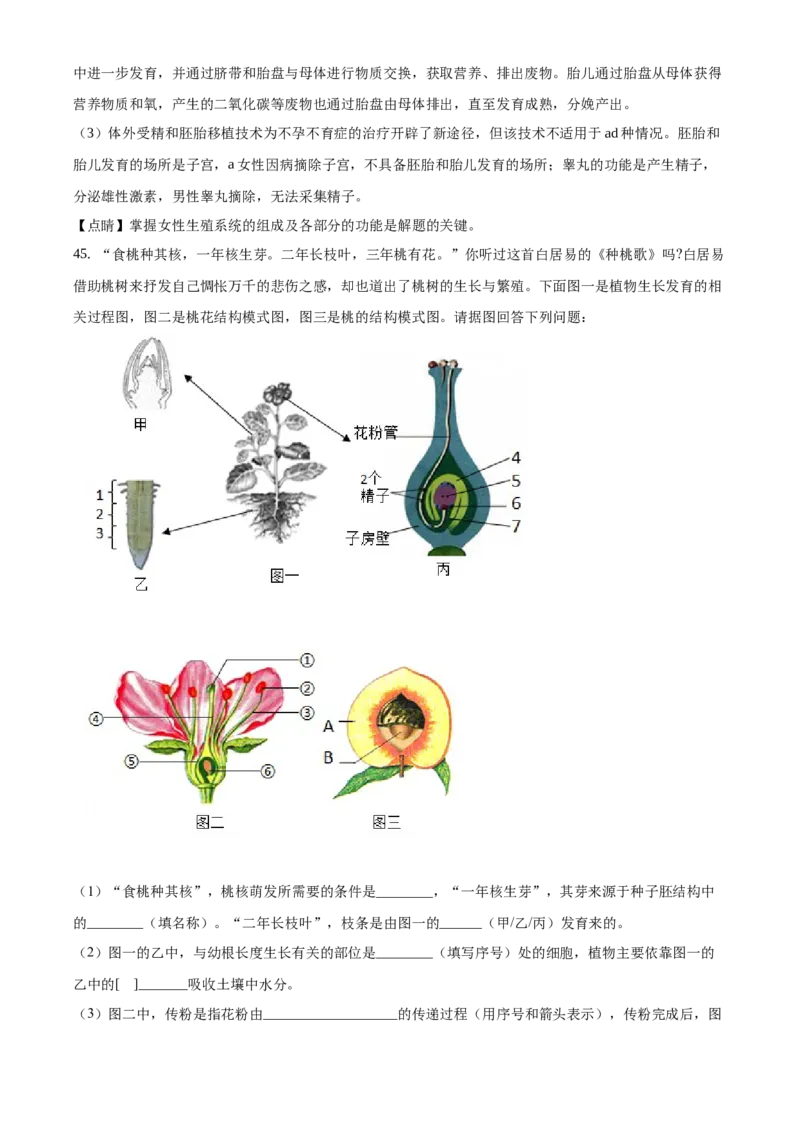 精品解析：北京市一零一中学2019-2020学年下学期初中七年级期末生物试卷（解析版）(1)_北京初中期末题_C605-京七八九_B京生物七八九_北京7下生物_2019-2020