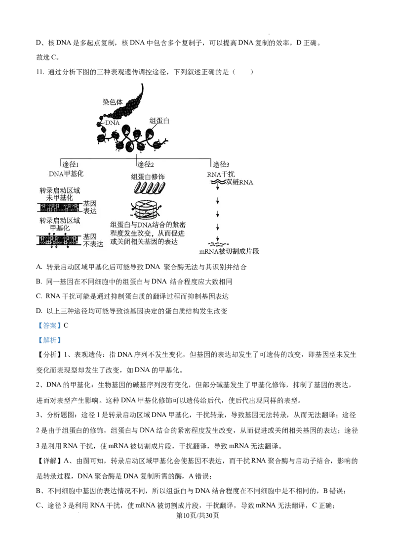 山东省泰安市2024-2025学年高三上学期11月期中考试生物答案_A1502026各地模拟卷（超值！）_11月_241124山东省泰安市2024-2025学年高三上学期11月期中考试