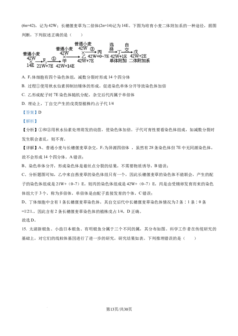 山东省泰安市2024-2025学年高三上学期11月期中考试生物答案_A1502026各地模拟卷（超值！）_11月_241124山东省泰安市2024-2025学年高三上学期11月期中考试