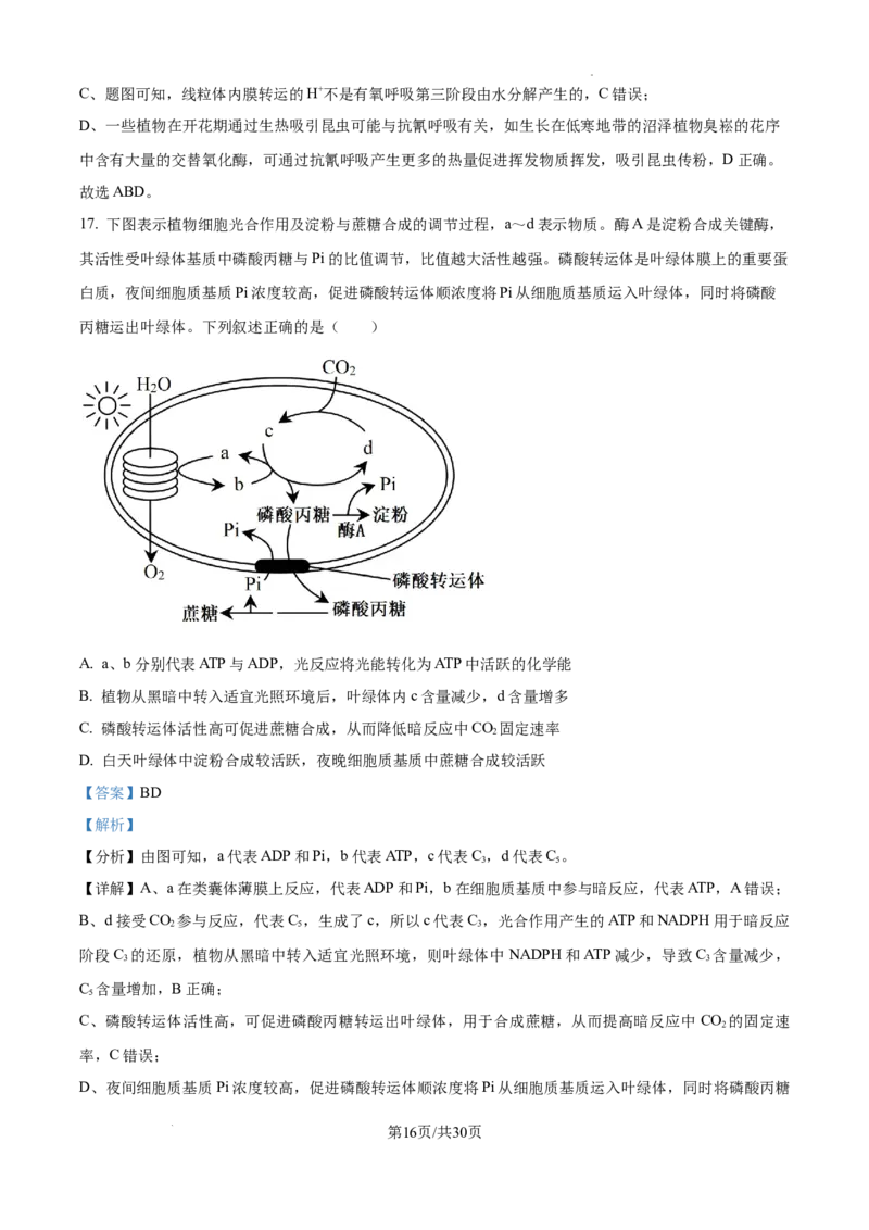 山东省泰安市2024-2025学年高三上学期11月期中考试生物答案_A1502026各地模拟卷（超值！）_11月_241124山东省泰安市2024-2025学年高三上学期11月期中考试