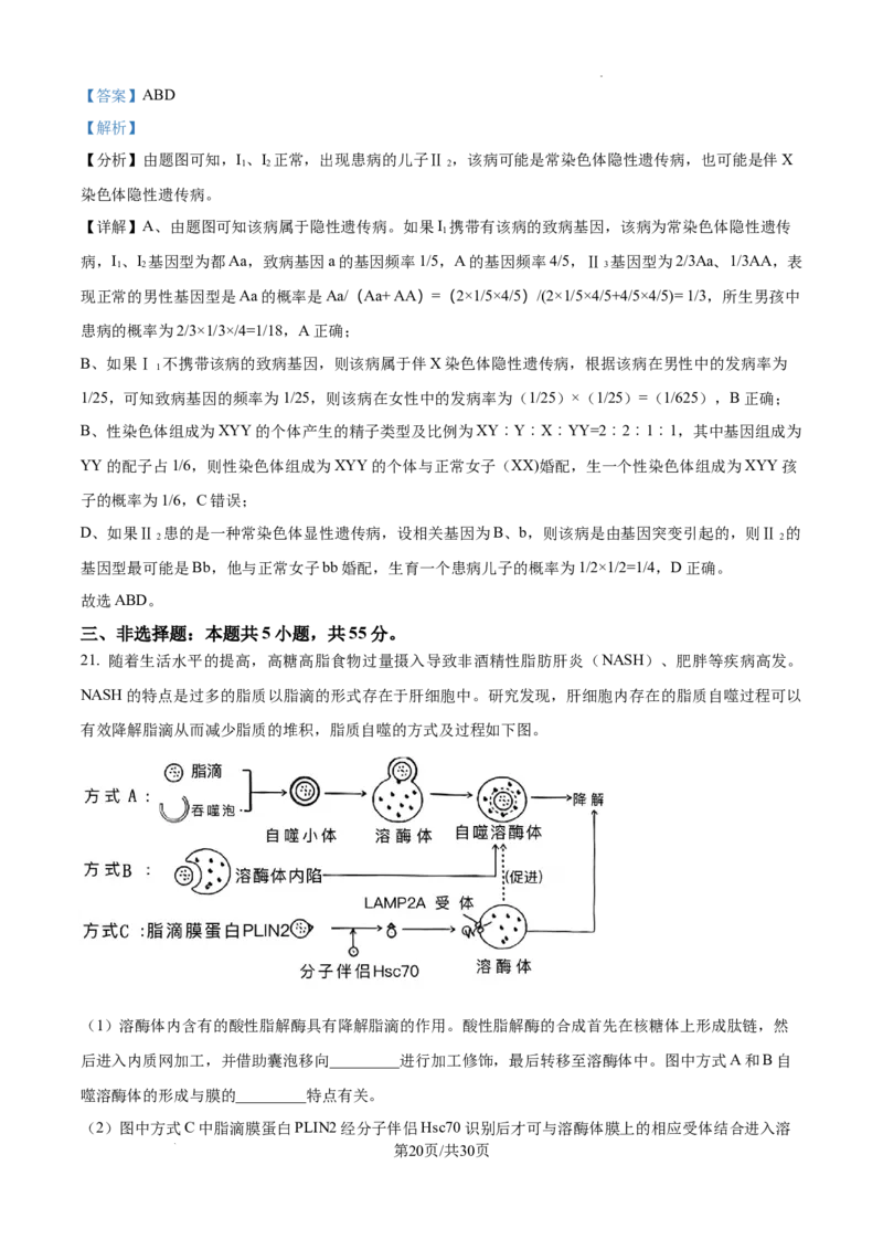 山东省泰安市2024-2025学年高三上学期11月期中考试生物答案_A1502026各地模拟卷（超值！）_11月_241124山东省泰安市2024-2025学年高三上学期11月期中考试