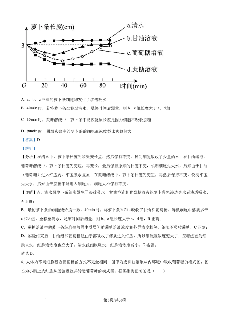 山东省泰安市2024-2025学年高三上学期11月期中考试生物答案_A1502026各地模拟卷（超值！）_11月_241124山东省泰安市2024-2025学年高三上学期11月期中考试