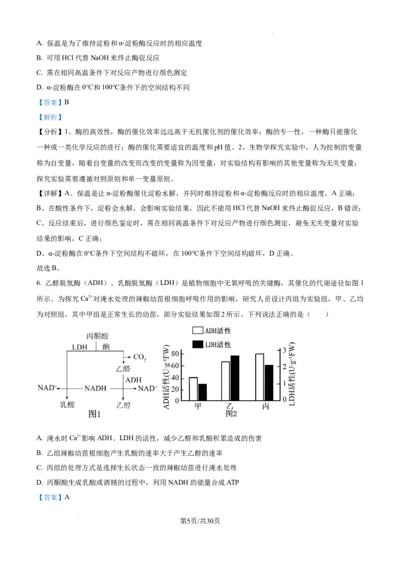 山东省泰安市2024-2025学年高三上学期11月期中考试生物答案_A1502026各地模拟卷（超值！）_11月_241124山东省泰安市2024-2025学年高三上学期11月期中考试
