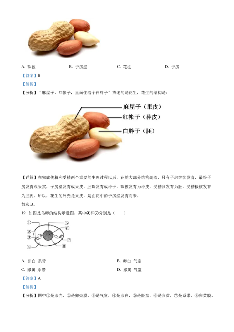 精品解析：北京市大兴区2022-2023学年八年级上学期期中生物试题（解析版）(1)_北京初中期末题_C605-京七八九_B京生物七八九_北京八上生物_2022-2023