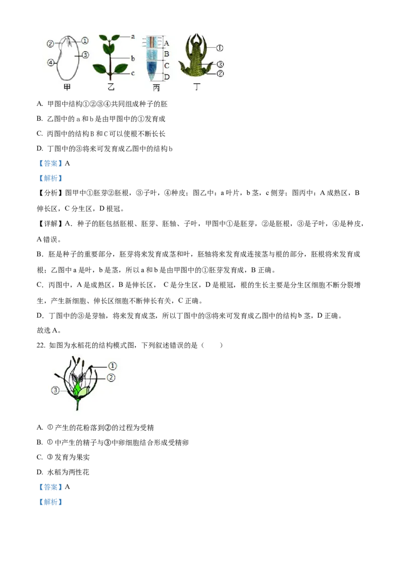 精品解析：北京市大兴区2022-2023学年八年级上学期期中生物试题（解析版）(1)_北京初中期末题_C605-京七八九_B京生物七八九_北京八上生物_2022-2023