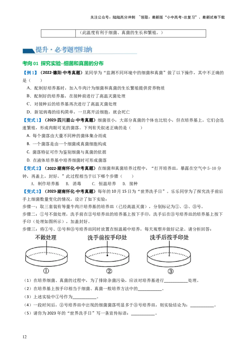 专题18细菌、真菌和病毒（讲义）（原卷版）_02中考总复习（2026版更新中）_08-生物-中考总复习_2024年中考复习资料_一轮复习_❤2024年中考生物一轮复习讲练测（全国通用）_讲义