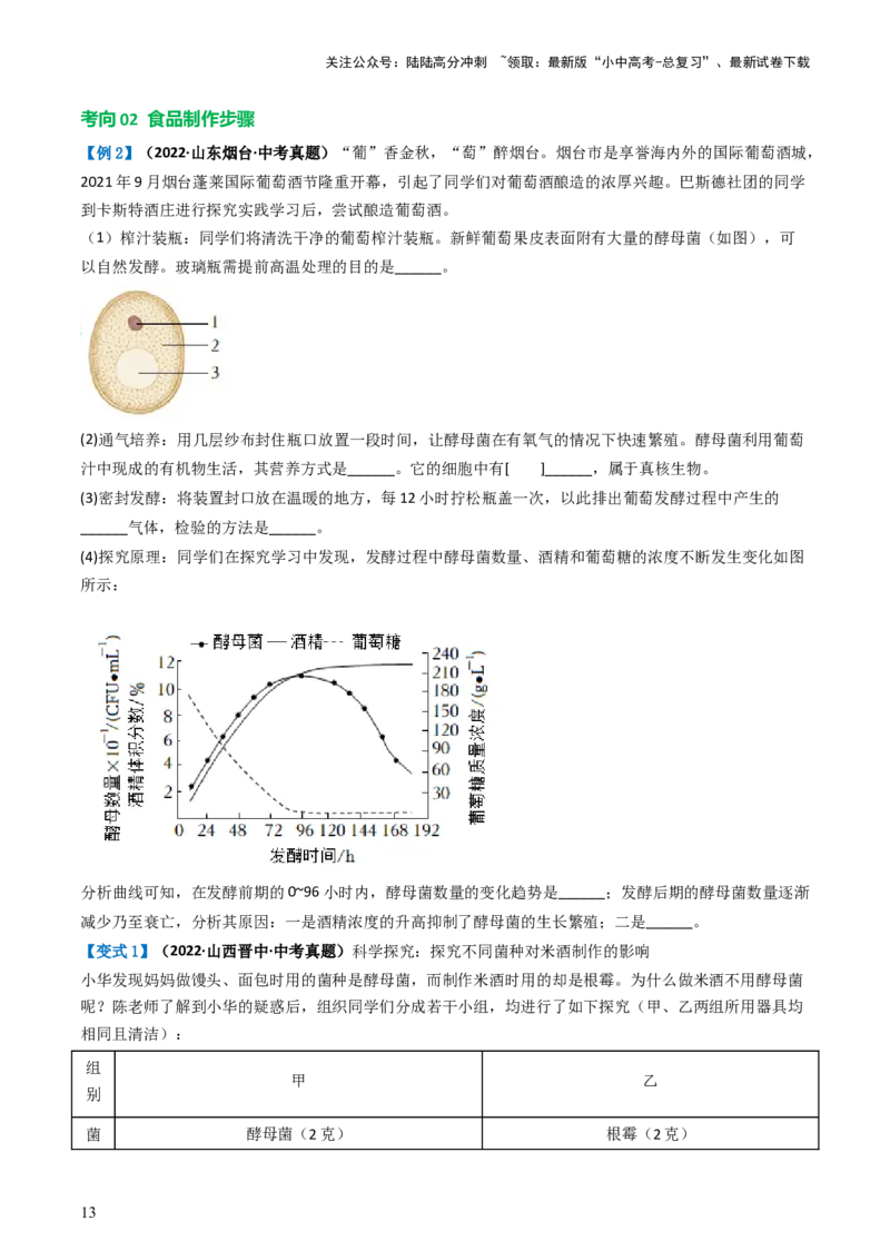 专题18细菌、真菌和病毒（讲义）（原卷版）_02中考总复习（2026版更新中）_08-生物-中考总复习_2024年中考复习资料_一轮复习_❤2024年中考生物一轮复习讲练测（全国通用）_讲义