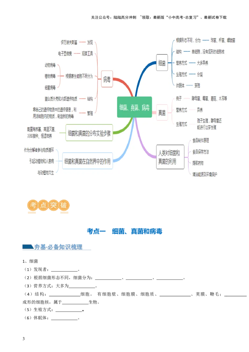 专题18细菌、真菌和病毒（讲义）（原卷版）_02中考总复习（2026版更新中）_08-生物-中考总复习_2024年中考复习资料_一轮复习_❤2024年中考生物一轮复习讲练测（全国通用）_讲义