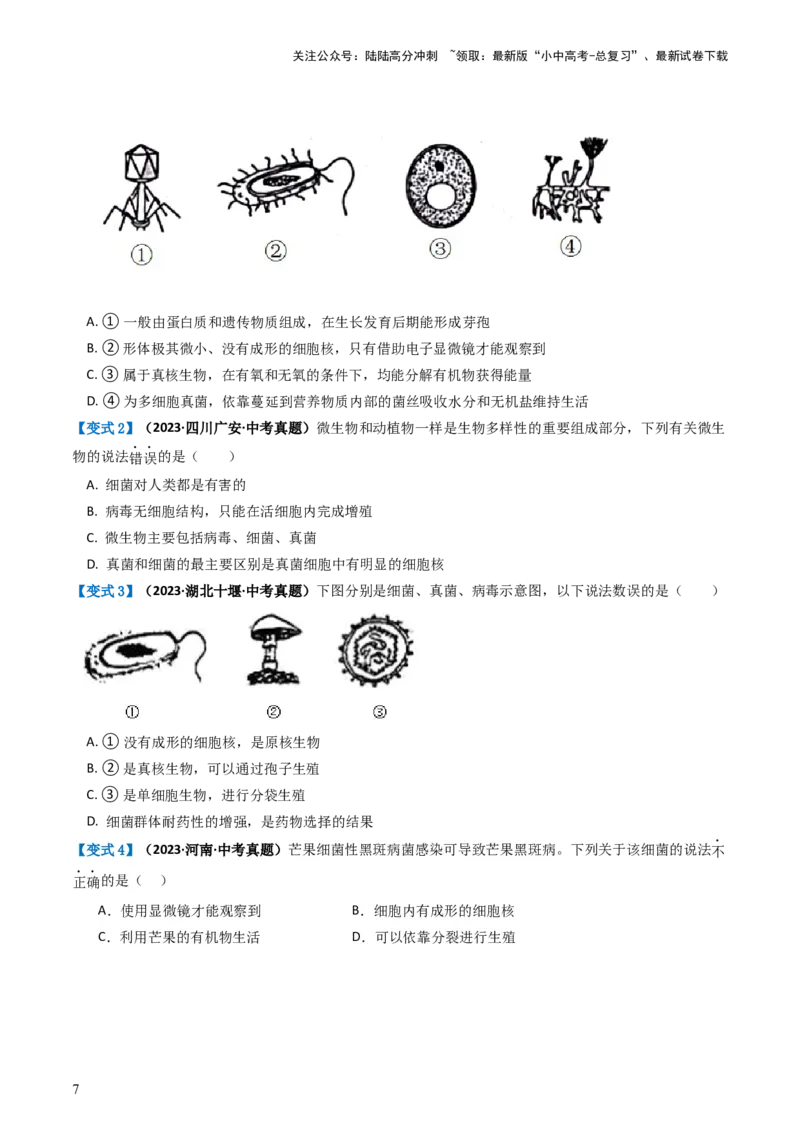 专题18细菌、真菌和病毒（讲义）（原卷版）_02中考总复习（2026版更新中）_08-生物-中考总复习_2024年中考复习资料_一轮复习_❤2024年中考生物一轮复习讲练测（全国通用）_讲义