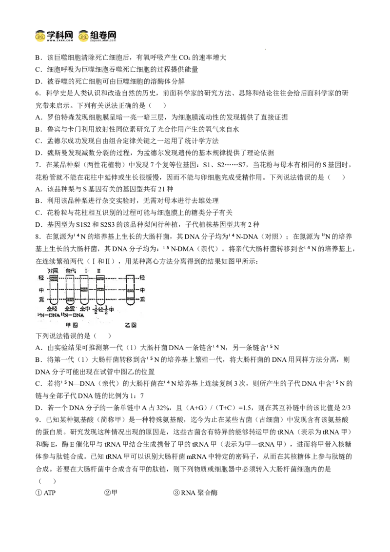 四川省南充市阆中东风学校2024-2025学年高三12月月考试题生物+答案_A1502026各地模拟卷（超值！）_12月_241217四川省南充市阆中东风学校2024-2025学年高三12月月考试题