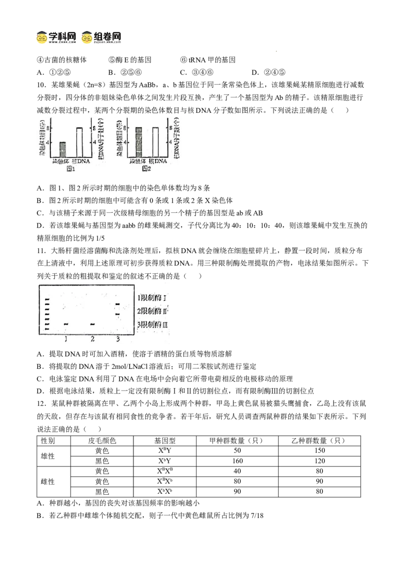四川省南充市阆中东风学校2024-2025学年高三12月月考试题生物+答案_A1502026各地模拟卷（超值！）_12月_241217四川省南充市阆中东风学校2024-2025学年高三12月月考试题