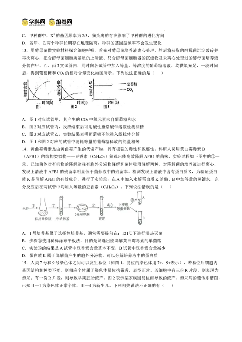 四川省南充市阆中东风学校2024-2025学年高三12月月考试题生物+答案_A1502026各地模拟卷（超值！）_12月_241217四川省南充市阆中东风学校2024-2025学年高三12月月考试题