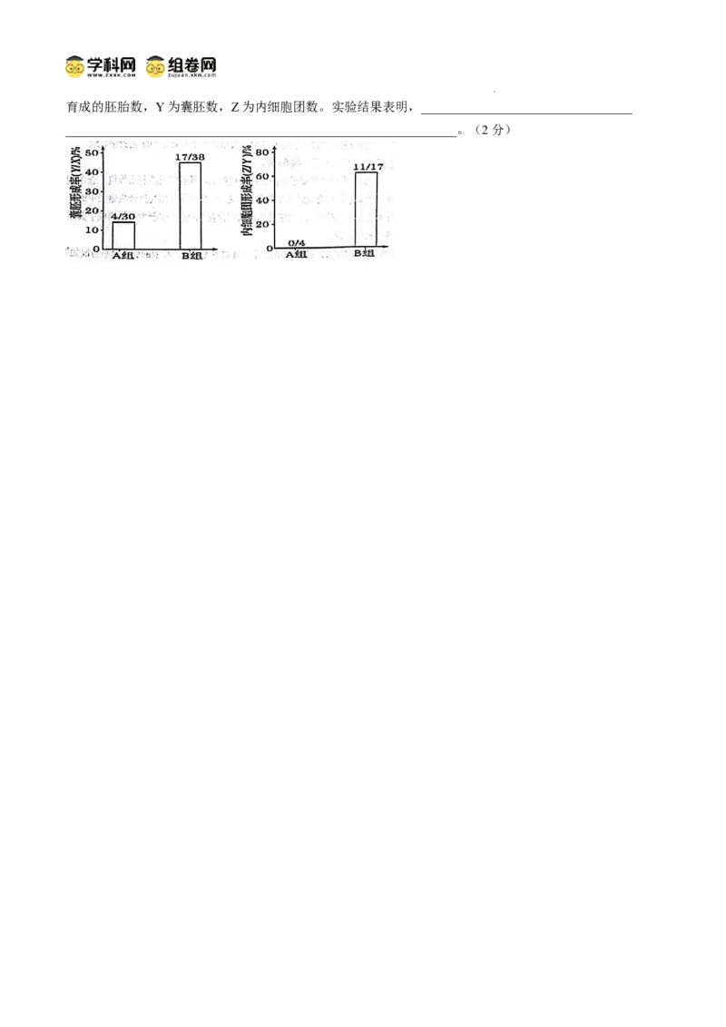 四川省南充市阆中东风学校2024-2025学年高三12月月考试题生物+答案_A1502026各地模拟卷（超值！）_12月_241217四川省南充市阆中东风学校2024-2025学年高三12月月考试题