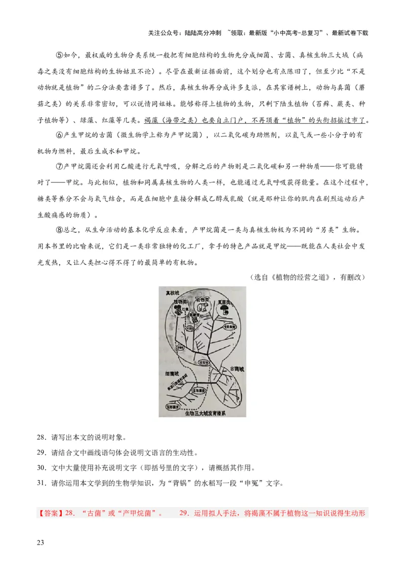 专题21说明文阅读（全国通用）（解析版）_02中考总复习（2026版更新中）_01-语文-中考总复习_2026年中考复习（更新中）_好题汇编三年（2023-2025）中考语文真题分类汇编（全国通用）(1)