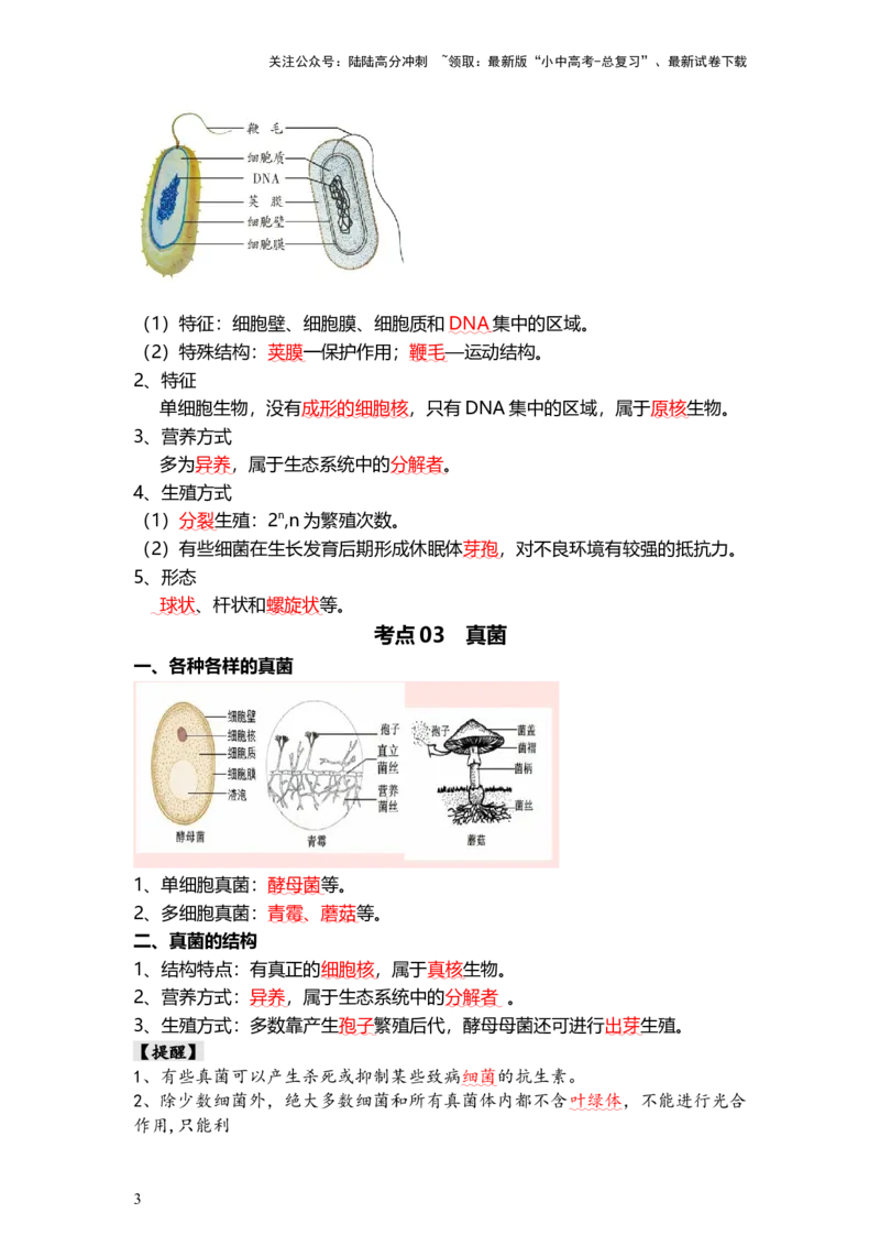 专题18+细菌、真菌和病毒（背记帮）-备战2024年中考生物一轮复习考点帮_02中考总复习（2026版更新中）_08-生物-中考总复习_2024年中考复习资料_一轮复习_必背考点