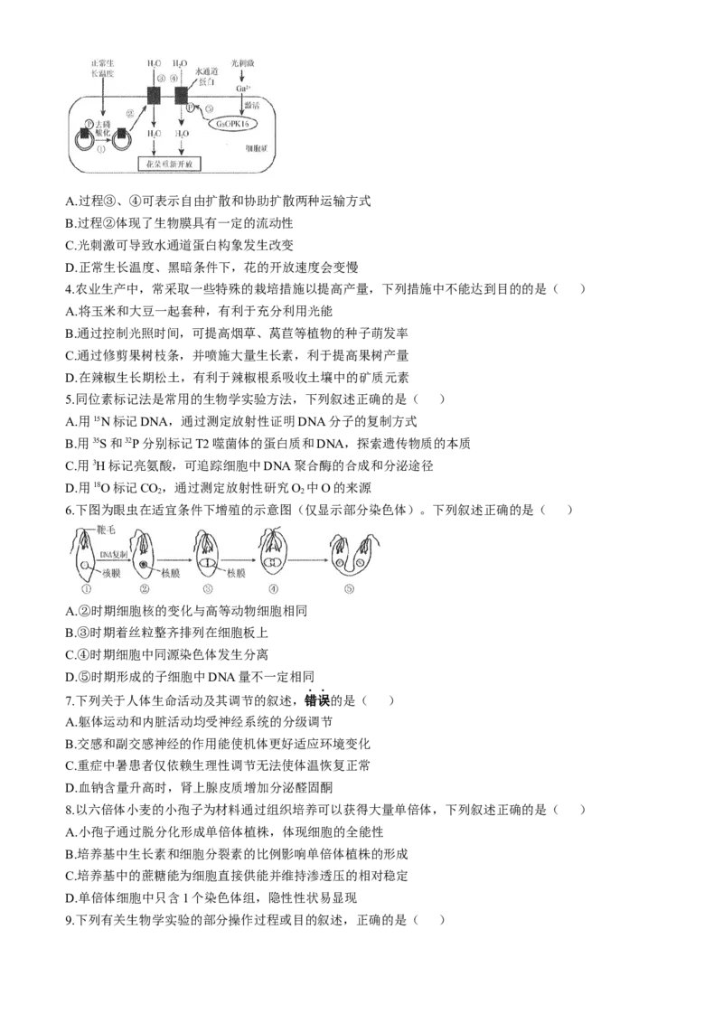 南通海门中学2025届高三上学期第一次调研考试生物试题_A1502026各地模拟卷（超值！）_10月_241019南通海门中学2025届高三上学期第一次调研考试