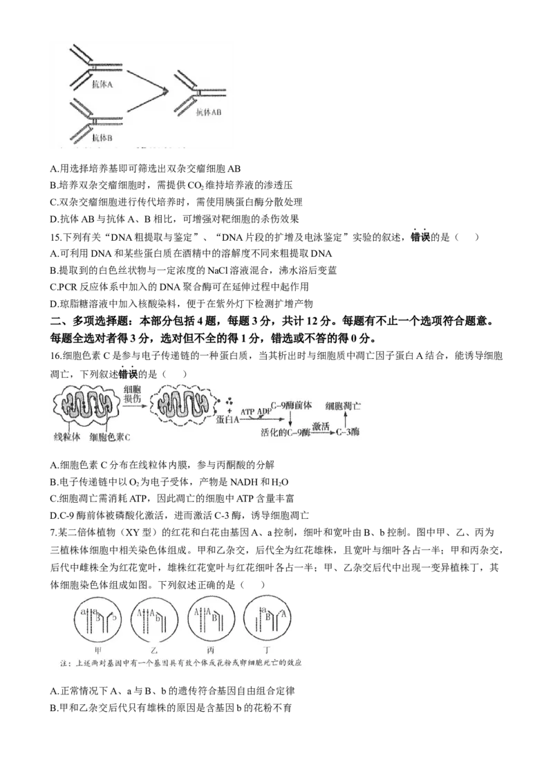 南通海门中学2025届高三上学期第一次调研考试生物试题_A1502026各地模拟卷（超值！）_10月_241019南通海门中学2025届高三上学期第一次调研考试