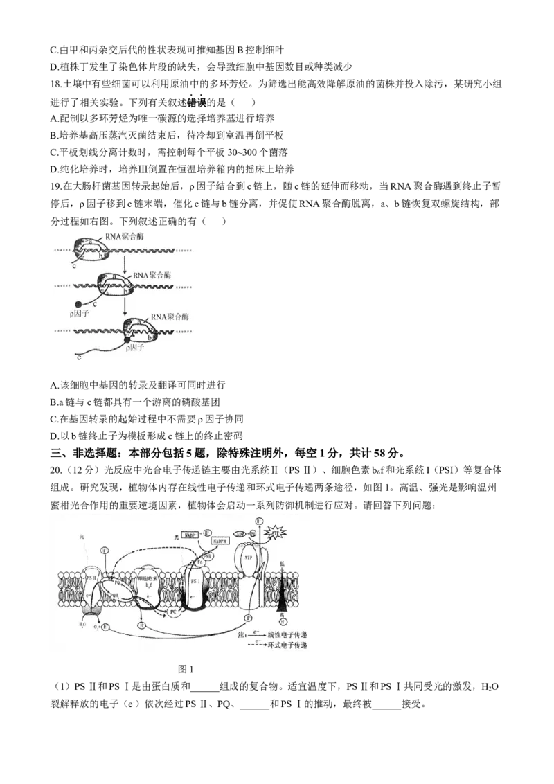 南通海门中学2025届高三上学期第一次调研考试生物试题_A1502026各地模拟卷（超值！）_10月_241019南通海门中学2025届高三上学期第一次调研考试