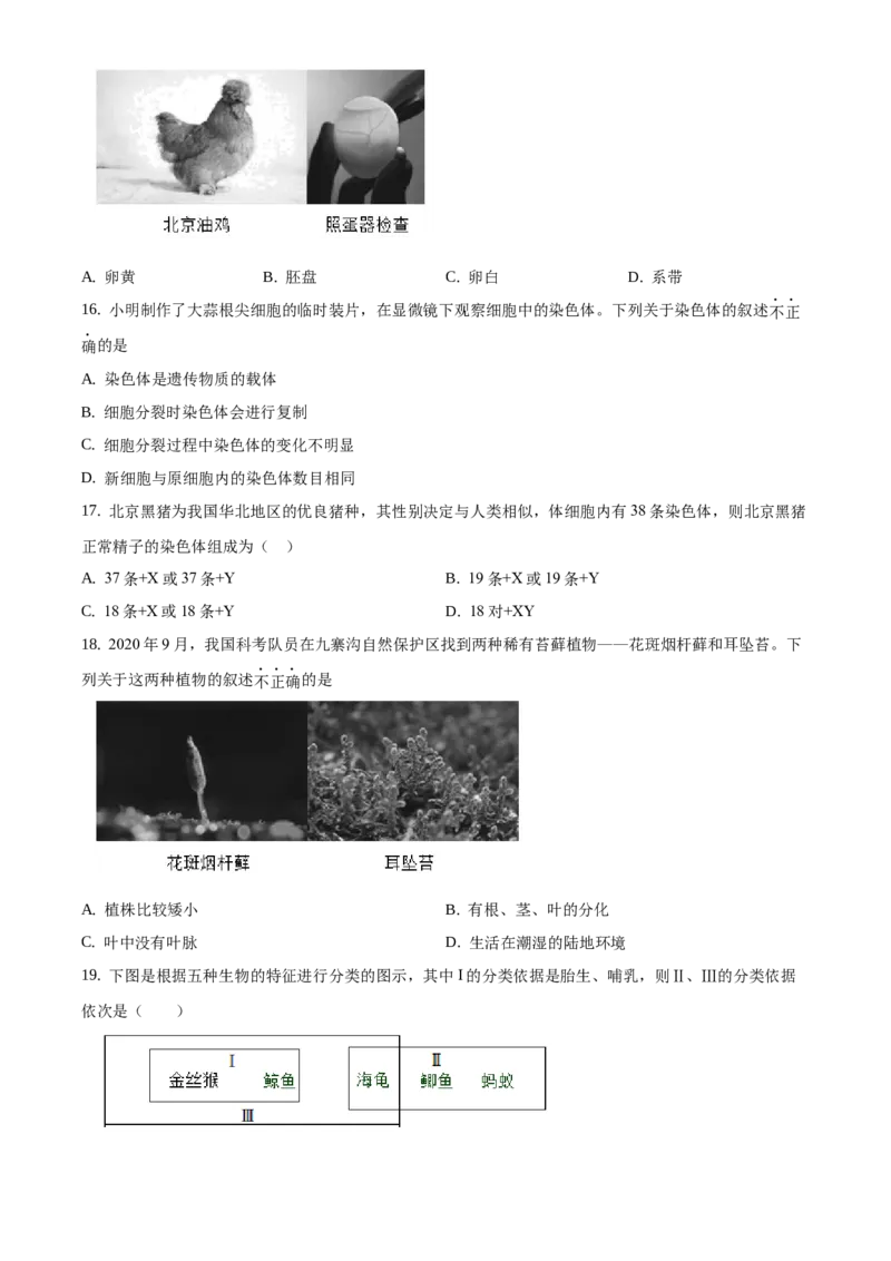 精品解析：2021年北京市东城区中考一模生物试题（原卷版）(1)_北京初中期末题_C605-京七八九_B京生物七八九_北京八下生物_精品解析：2021年北京市东城区中考一模生物试题