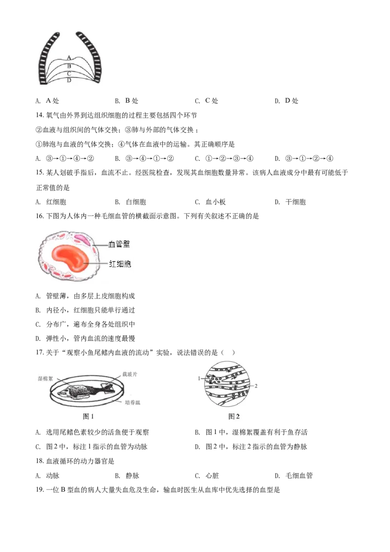 精品解析：北京市丰台区2019-2020学年七年级下学期期末练习生物试题（原卷版）(1)_北京初中期末题_C605-京七八九_B京生物七八九_北京7下生物_2019-2020