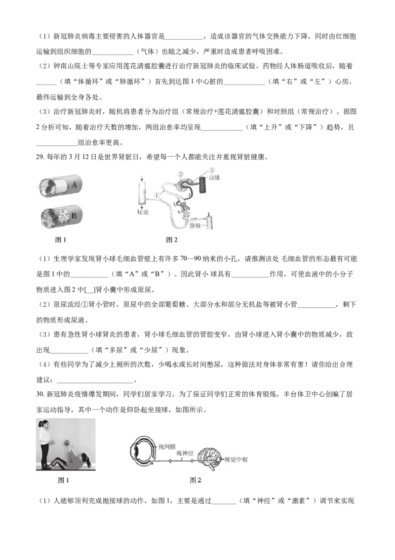 精品解析：北京市丰台区2019-2020学年七年级下学期期末练习生物试题（原卷版）(1)_北京初中期末题_C605-京七八九_B京生物七八九_北京7下生物_2019-2020
