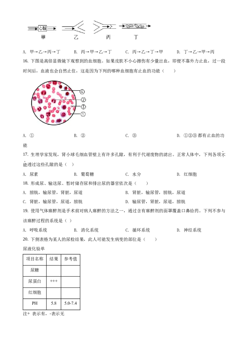 精品解析：北京市一零一中学2019-2020学年下学期初中七年级期末生物试卷（原卷版）(1)_北京初中期末题_C605-京七八九_B京生物七八九_北京7下生物_2019-2020