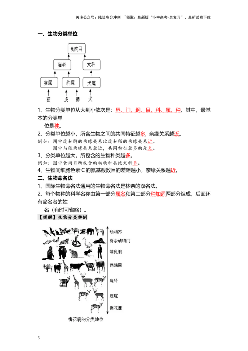 专题19+生物的多样性及其保护（背记帮）-备战2024年中考生物一轮复习考点帮_02中考总复习（2026版更新中）_08-生物-中考总复习_2024年中考复习资料_一轮复习_必背考点