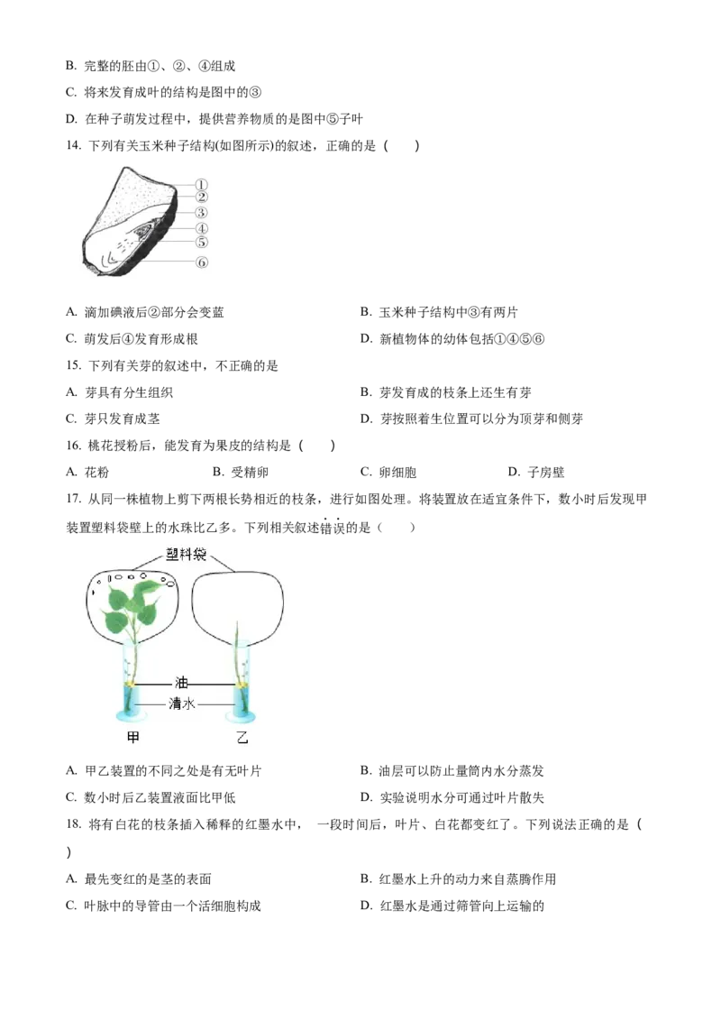 精品解析：北京市东城区2022-2023学年七年级上学期期末生物试题（原卷版）(1)_北京初中期末题_C605-京七八九_B京生物七八九_北京7上生物_2022-2024_北京生物7上期末