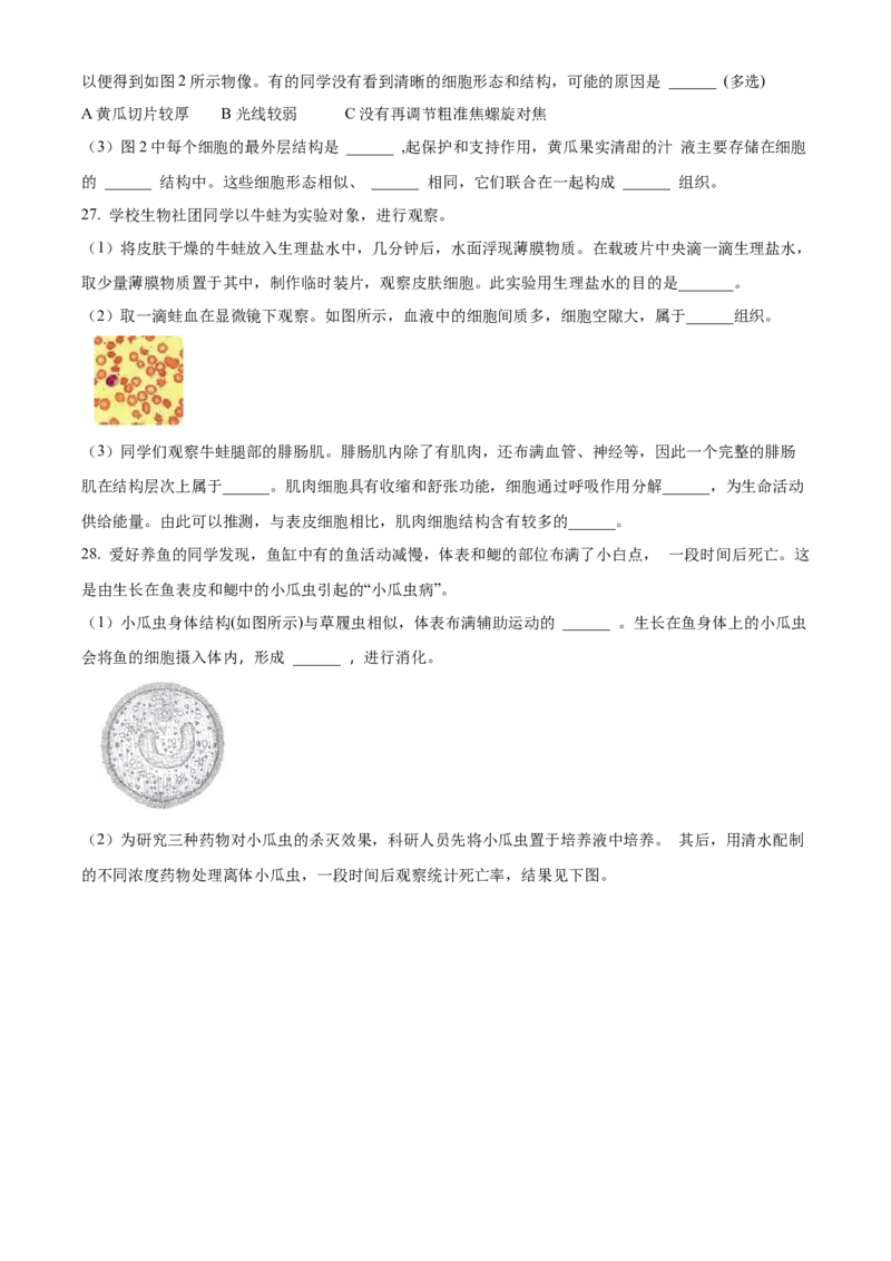 精品解析：北京市东城区2022-2023学年七年级上学期期末生物试题（原卷版）(1)_北京初中期末题_C605-京七八九_B京生物七八九_北京7上生物_2022-2024_北京生物7上期末