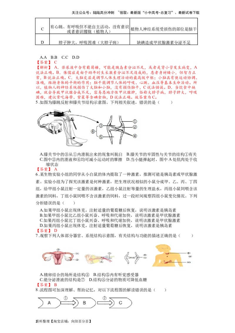 专题17人体生命活动调节（解析版）_02中考总复习（2026版更新中）_08-生物-中考总复习_2024年中考复习资料_一轮复习_配套练习_教师版（含答案解析）