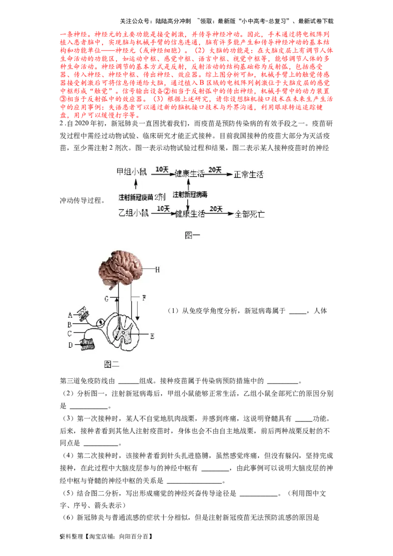 专题17人体生命活动调节（解析版）_02中考总复习（2026版更新中）_08-生物-中考总复习_2024年中考复习资料_一轮复习_配套练习_教师版（含答案解析）