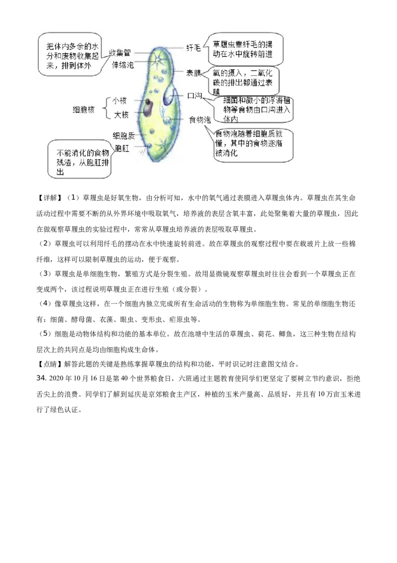 精品解析：北京市延庆区2020-2021学年七年级上学期期中生物试题（解析版）(1)_北京初中期末题_C605-京七八九_B京生物七八九_北京7上生物_2020-2021