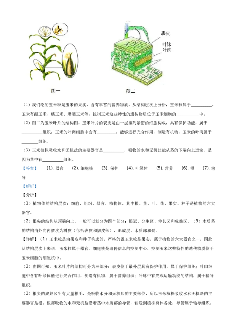 精品解析：北京市延庆区2020-2021学年七年级上学期期中生物试题（解析版）(1)_北京初中期末题_C605-京七八九_B京生物七八九_北京7上生物_2020-2021