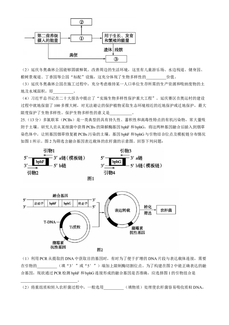 山东省德州市2024-2025学年高三上学期开学考试生物试题（含答案）_A1502026各地模拟卷（超值！）_9月_240903山东省德州市2025届高三上学期开学考