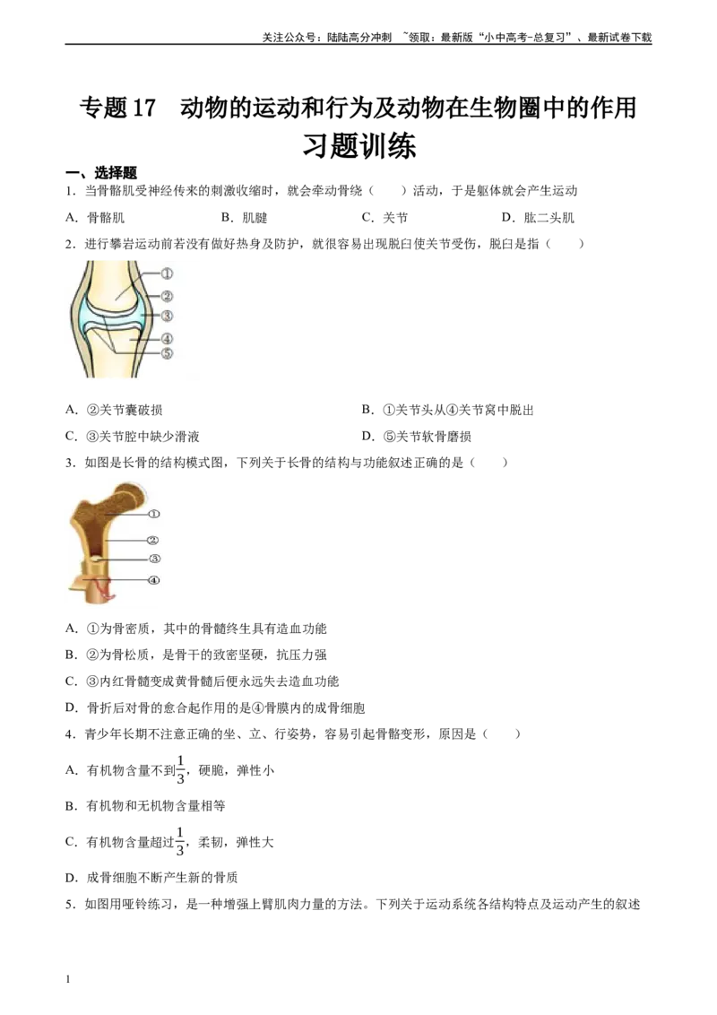专题17哺乳动物的运动及动物在生物圈中的作用（习题精练）-省心备考2024年中考生物一轮复习精讲精练（全国通用）（原卷版）_02中考总复习（2026版更新中）_08-生物-中考总复习