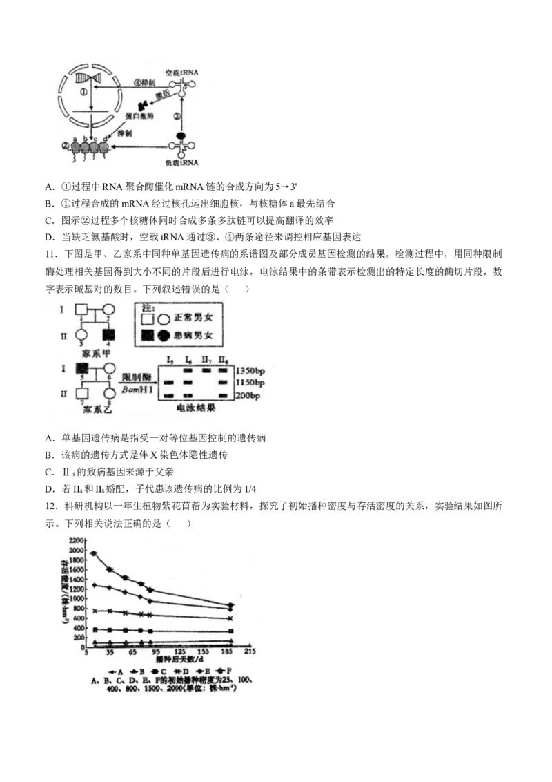 安徽省芜湖市第一中学2024-2025学年高三上学期10月教学质量诊断测试生物学试题（含答案）_A1502026各地模拟卷（超值！）_10月