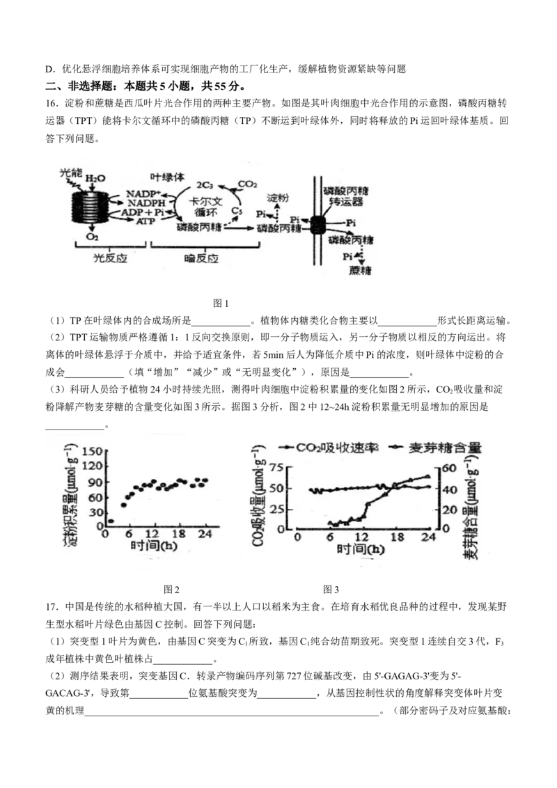 安徽省芜湖市第一中学2024-2025学年高三上学期10月教学质量诊断测试生物学试题（含答案）_A1502026各地模拟卷（超值！）_10月