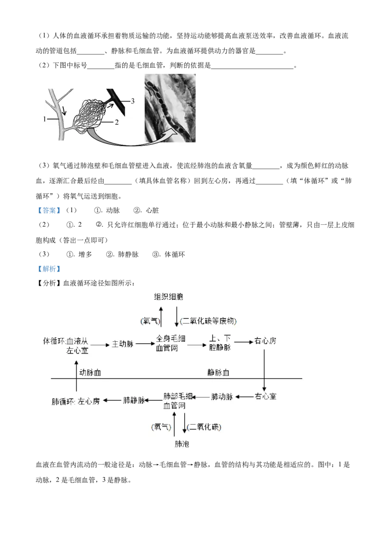 精品解析：北京市平谷区2021-2022学年七年级下学期期末生物试题（解析版）(1)_北京初中期末题_C605-京七八九_B京生物七八九_北京7下生物_2021-2022